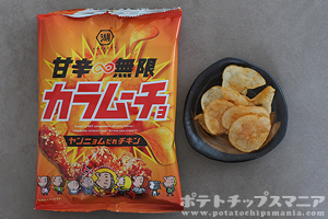 甘辛無限 カラムーチョ ヤンニョムだれチキン