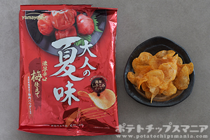 山芳製菓 ポテトチップス 大人の夏味